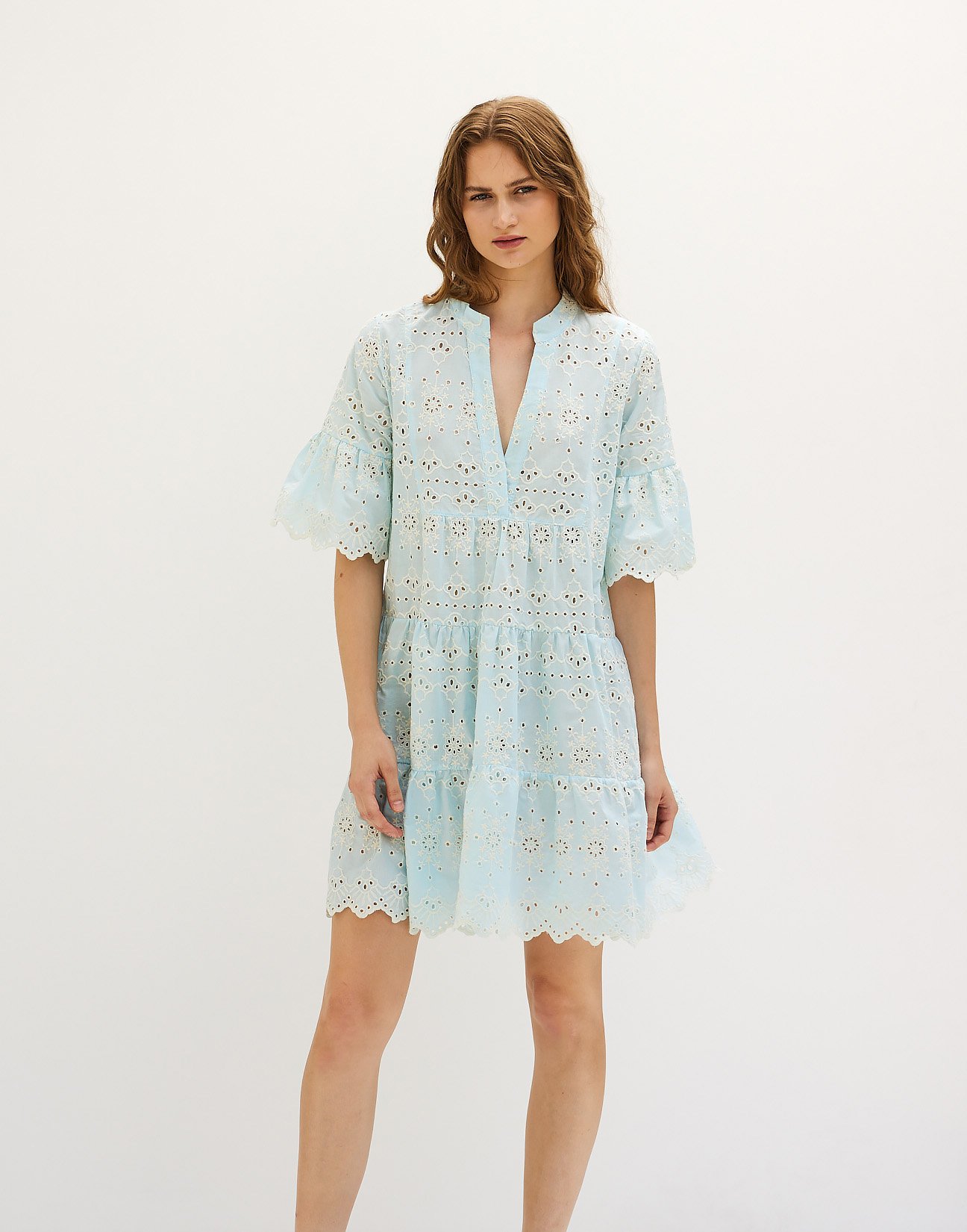 Embroidery mini dress